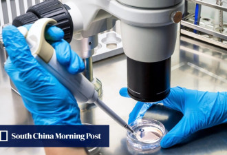 美拟禁中国人进国家实验室 称“偷了整整一代人”