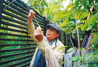 街头艺人竟是微软前副总