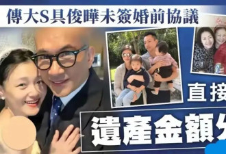 汪小菲强势出击,遗产大战再升级,许雅钧私生子...