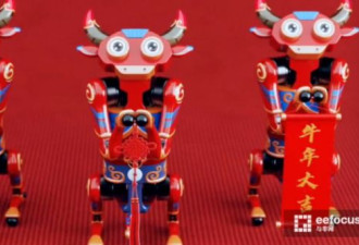 年轻“价格屠夫”见习近平 特别显眼