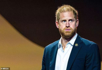 美国土安全部对哈里的签证记录做出令人震惊的决定