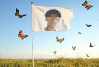 病态挑战？巴西少年将死蝴蝶注入大腿后丧命