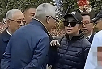 一身老人打扮 刘晓庆回乡选墓地引热议
