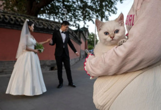 不结婚的时代，意味着什么？