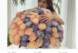 高调离婚后又求复合，内娱第一笑话...