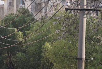 加拿大小伙住南昌9㎡：月租350元,苦读《红楼梦》