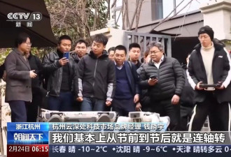 从草根到顶流，为什么是这六家公司？
