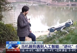 从草根到顶流，为什么是这六家公司？
