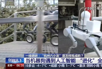 从草根到顶流，为什么是这六家公司？