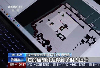 从草根到顶流，为什么是这六家公司？