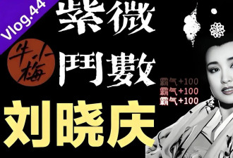 向太谈及李小龙之子李国豪的死亡之谜，他的遗作《乌鸦》谁敢看？