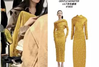 豪气！刘亦菲购物买了34件衣服：美貌暴击了