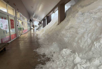 日本积雪多夸张 青森房屋遭压垮 马路变雪花冰