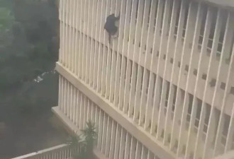 疑犯“飞檐走壁”逃离法院 场面如《碟中谍》