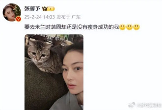 性感女神张馨予没瘦身成功！回复粉丝：走一丰韵路线好了