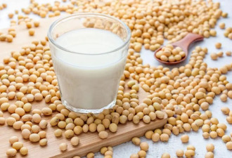 豆浆、豆奶和豆乳 如何选择