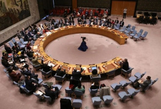 中美俄均投下赞成票，联合国安理会通过涉乌决议