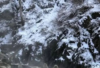 日式温泉旅馆初体验：在白川乡感受日式风情
