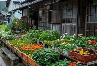 日式温泉旅馆初体验：在白川乡感受日式风情