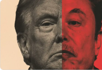 川普 + 马斯克 = 无敌 ？