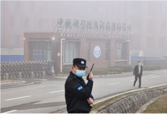 又是武毒所，又是蝙蝠冠状病毒