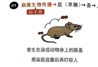 再萌也不要碰！国家卫健委紧急提醒....