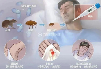 再萌也不要碰！国家卫健委紧急提醒....