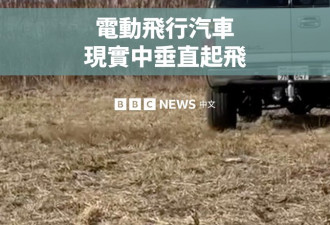初创公司Alef Aeronautics发布概念版飞行汽车