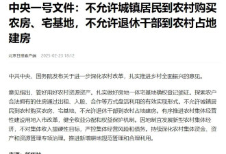 中央一号文件：两个不允许，意味着什么