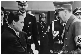文明总能守望相助，正如野蛮总会遇上猪队友