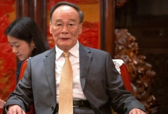 捂盖子第一 王岐山出身让太子党难以启齿