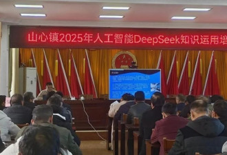 广西一地用DeepSeek识别潜在返贫家庭 ...