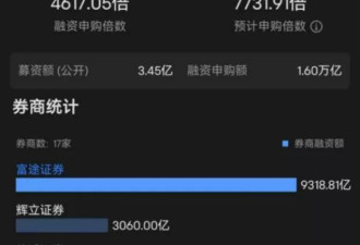 1.6万亿打新，蜜雪冰城成港股“冻资王”