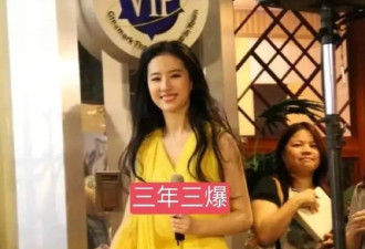 刘亦菲的中女三部曲照进现实,一次性血拼34件衣服