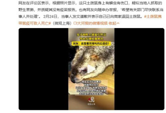 远离土拨鼠！远离土拨鼠！远离土拨鼠！