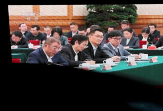 谁是自己人？中国企业家的政治迷思