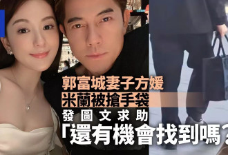 郭富城妻子方媛在米兰被抢手袋 急发文求助：还有机会找到吗