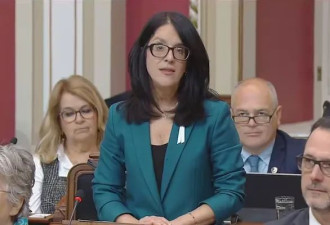 重拳出击！魁北克政府收紧网购规则！