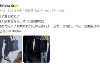 方媛在米兰遭抢劫当地华人发声：在路上不要玩手机