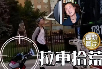 成龙人生“污点”，住桥洞捡垃圾，满脸厌世表情，无家可归