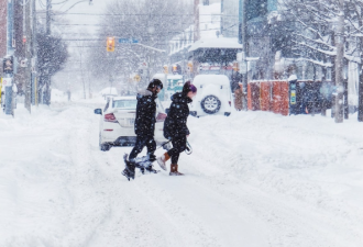 警报拉响!多伦多"连下2天雪"!高速大乱!极寒+25cm暴雪杀回安省!