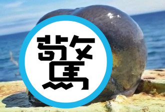 深海异形横空出世！ 网惊“外星人真的存在”