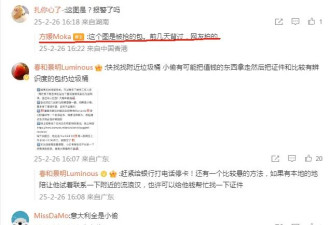 方媛米兰遭遇抢劫 歹徒或早有预谋 DeepSeek说的太对了