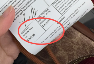 华人网友喊冤：在多伦多散个步居然被罚了425刀！