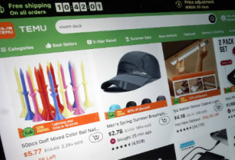 海外版拼多多Temu开放加拿大商家入驻！能卷死地头蛇吗？