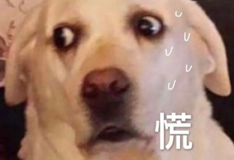 6万4值不值？全网围观特斯拉FSD勇闯北上广