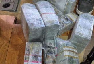 藏大量现金与飞莫斯科机票 亲俄总统候选人被捕