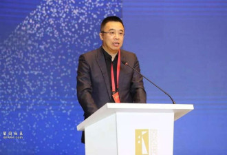 宋歌被判刑:吴京背后的男人,砸8亿豪赌《战狼2》