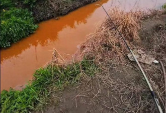 涟水河道被红褐色废水污染，网友称钓的鱼没敢吃