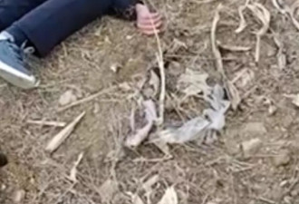 男子称扶起倒地老人反被家属诬陷，民警到场才脱身